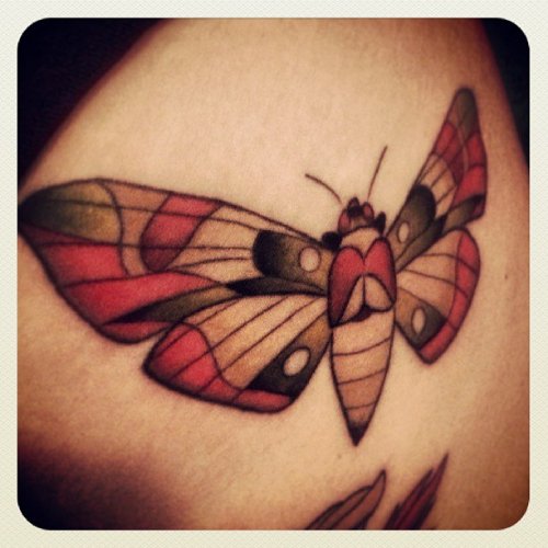 Colored Moth Tattoo For Girls