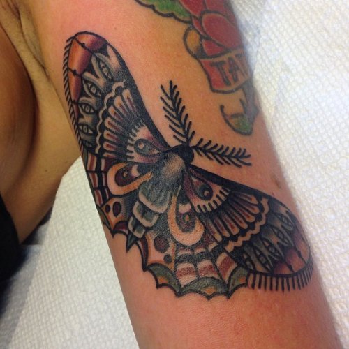 Colored Ink Biceps Moth Tattoo