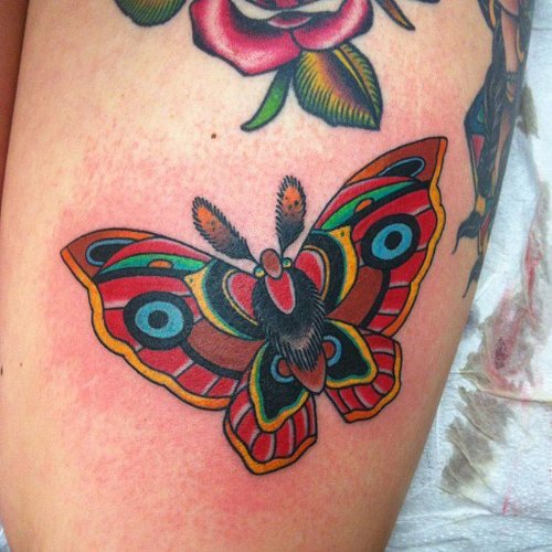Colored Moth Tattoo On Biceps
