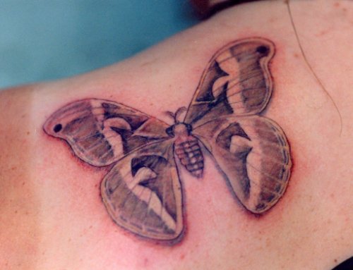 Fantastic Grey Ink Moth Tattoo On Bicep