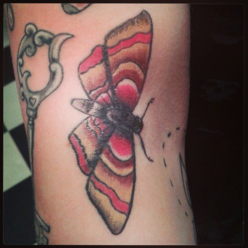 Red ink Moth Tattoo On Arm