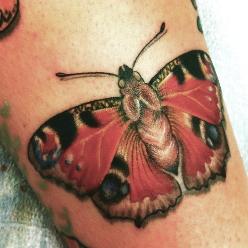 Great Red ink Moth Tattoo On Bicep