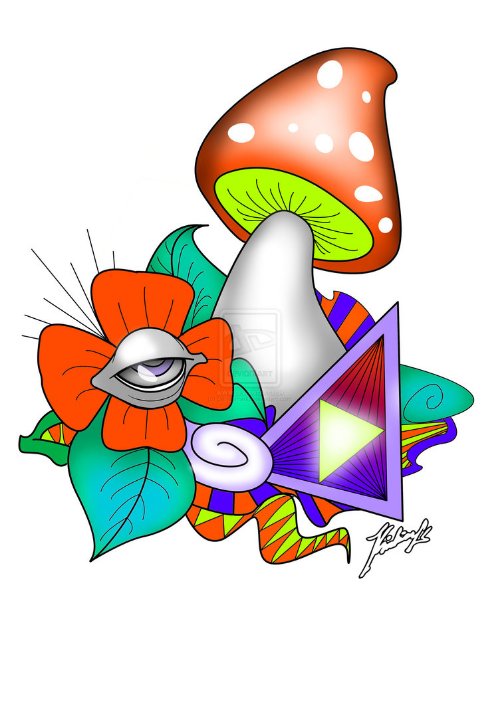 Colored Flower And Mushroom Tattoo Design