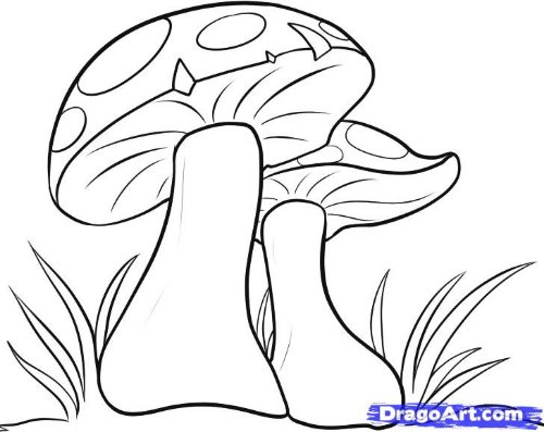 Outline Mushrooms Tattoo Design