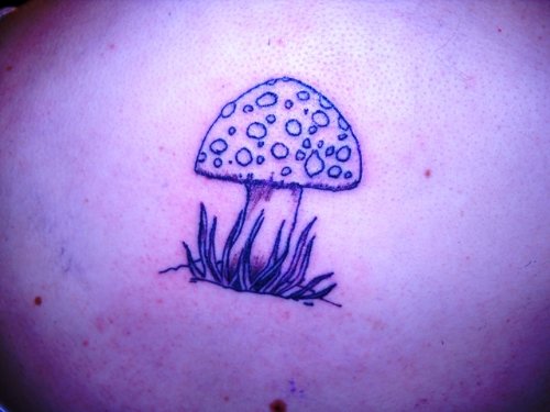 Amazing Mushroom Tattoo image
