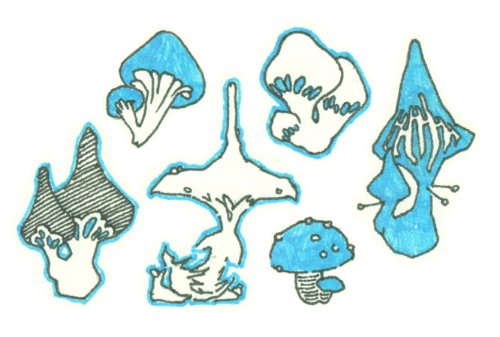 Mushroom Tattoo Designs For Girls