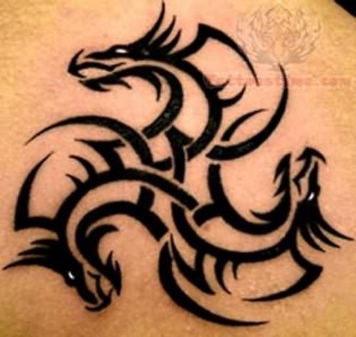 Triple Tribal Dragons Tattoo