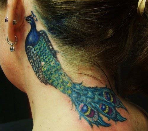 Colored Peacock Tattoo On Side Neck
