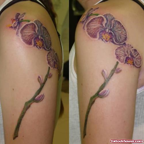 Orchid Shoulders Tattoos