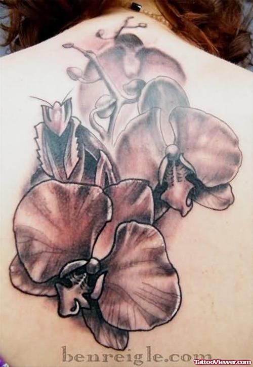 Orchid Flower Tattoo On Back Body