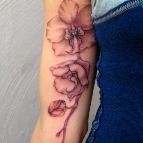 Inner Bicep Orchid Tattoos For Girls