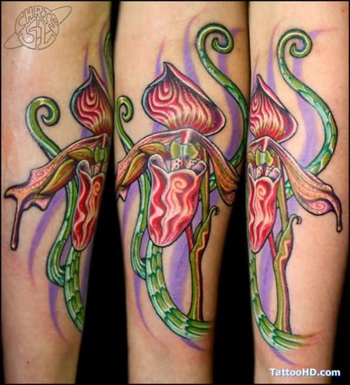 Colorful Orchid Tattoo On Sleeve