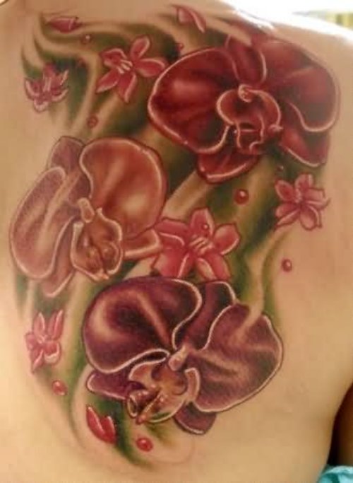 Beautiful Right Back Shoulder Orchid Tattoo