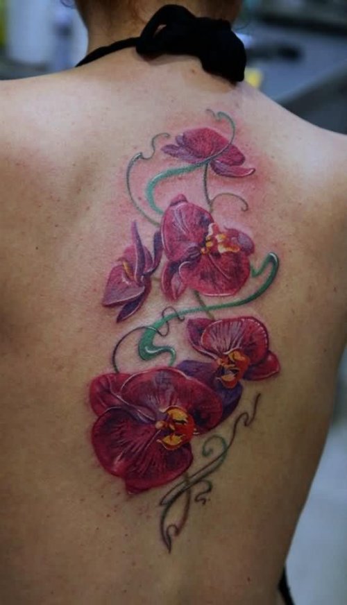 Pink Orchid Flowers Tattoo On Back Body