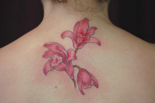 Upperback Orchid Tattoos