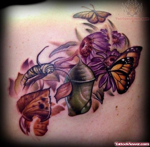 Monarch Butterfly Life Cycle Tattoo