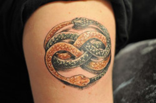 Colored Snakes And Ouroboros Tattoo On Half Sleeve