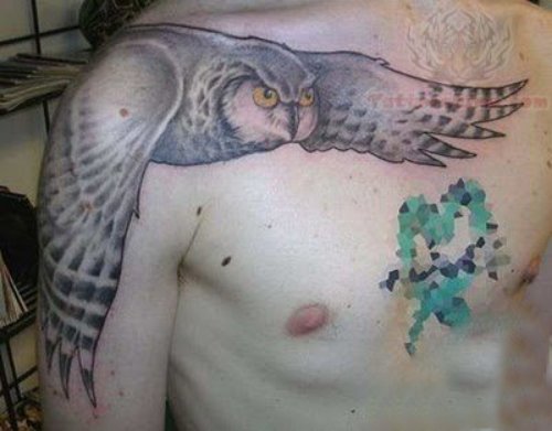 Flying Owl on Shoulder And Chest