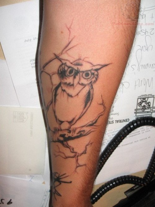 Owl & Tree Tattoo On arm