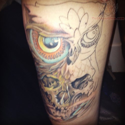 Half Skull And Color Owl Tattoo