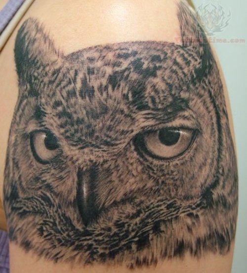 Realistic Owl Head Tattoo