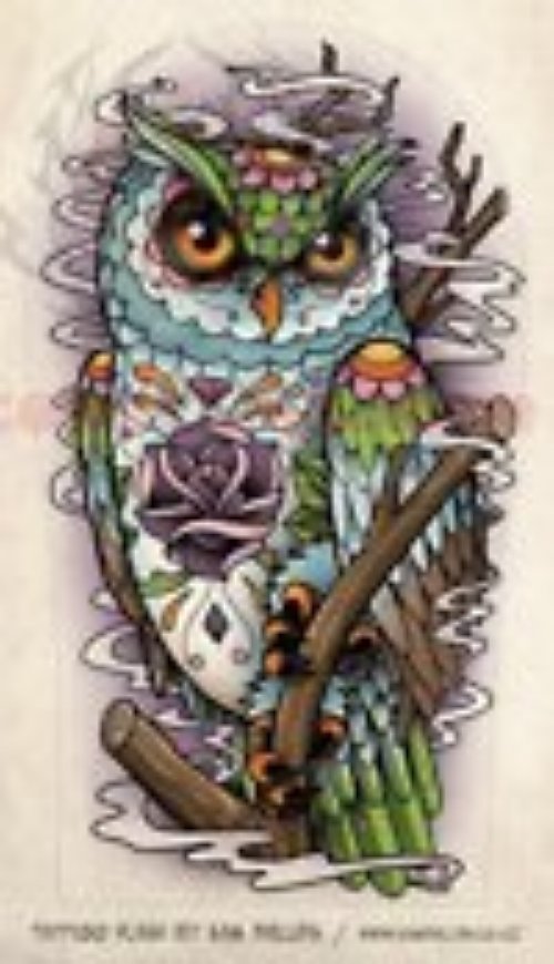 Color Owl Tattoos Design