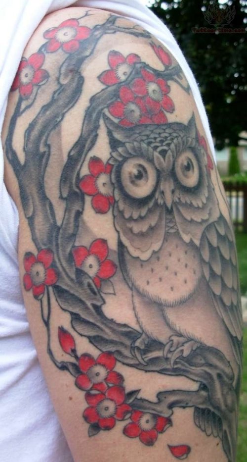 Owl And Red Flowers Tattoo on Half Sleeve