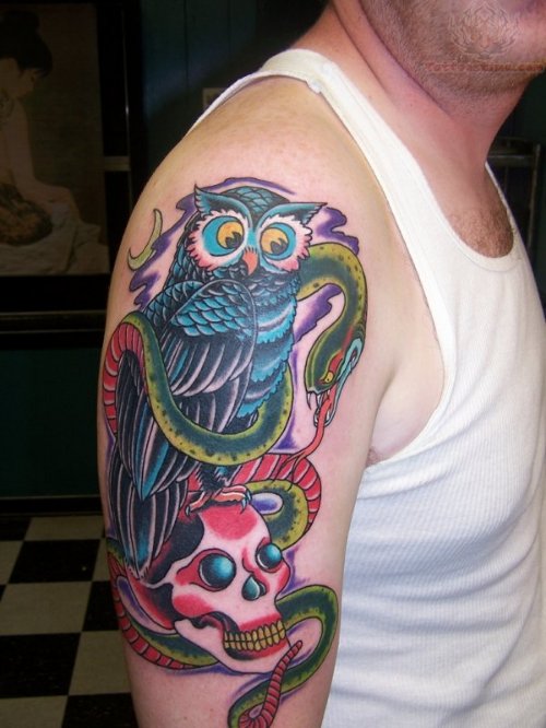 Owl With Snake And Skull Tattoo On Bicep