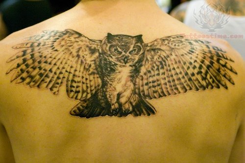 Angry Owl Flying Tattoo On Upperback