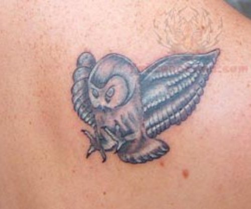 Flying Owl Landing Tattoo