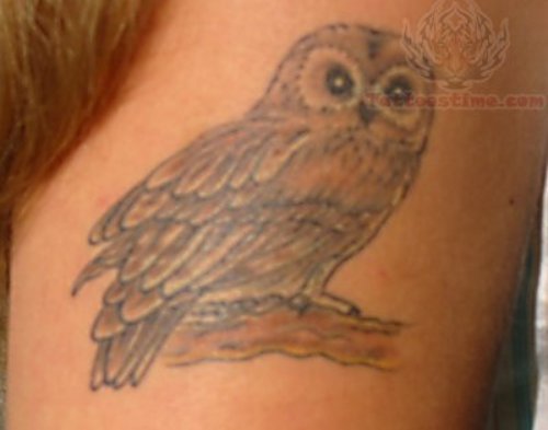 Black Eyes Owl Tattoo On Neck