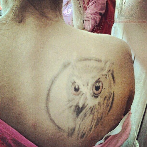 Owl Head Tattoo On Girl Back Shoulder