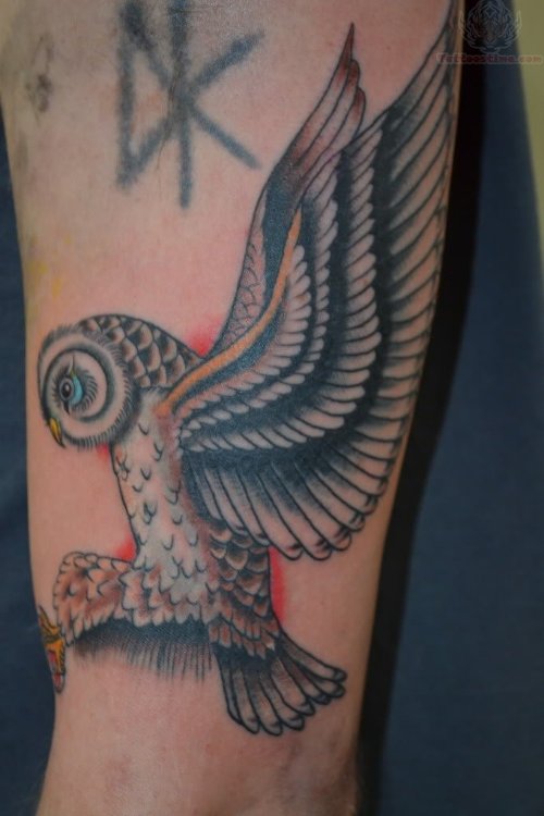 Flying Owl Tattoo On Muscles