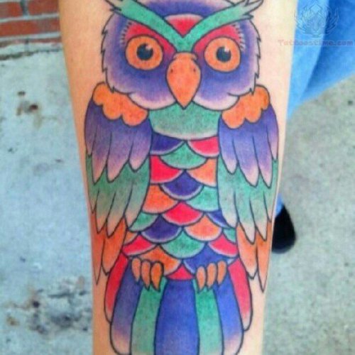 Awesome Colored Owl Tattoo