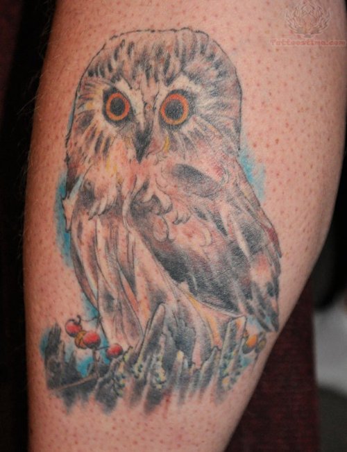 Owl And Cherry Tattoos