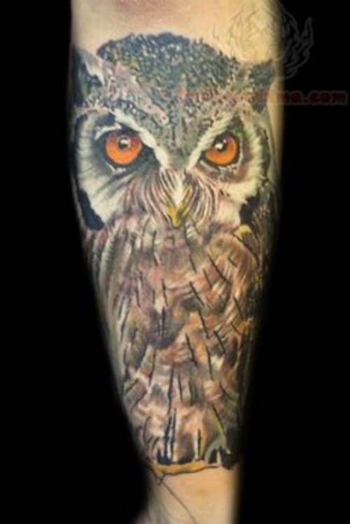 Feather Owl Tattoo