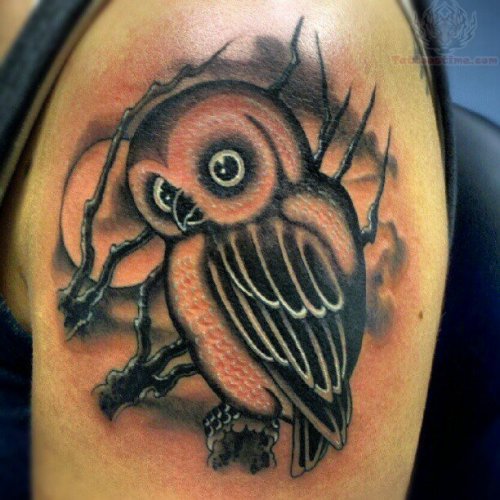 Black Ink Owl Tattoo On Shoulder