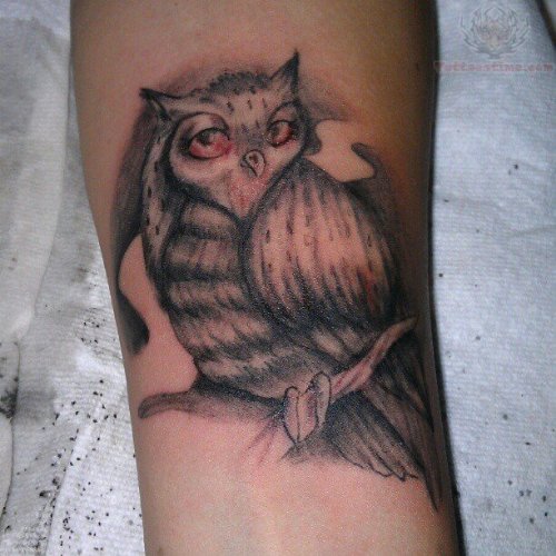 Grey Ink Shaded Owl Tattoo