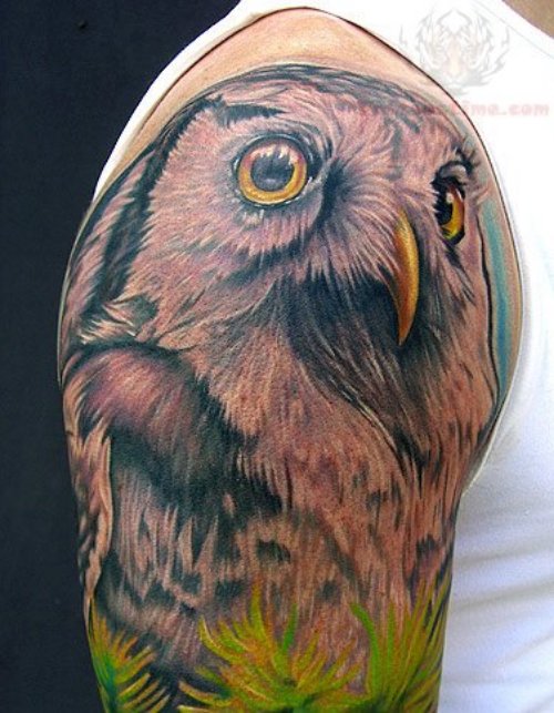 Owl Color head Tattoo on Shoulder