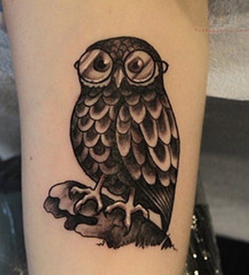 Black Ink Owl Tattoo on Men Bicep