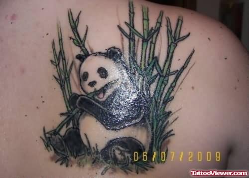 Panda Bear Tattoo On Back Shoulder