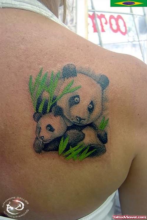 Panda And Baby Tattoo On Back Shoulder