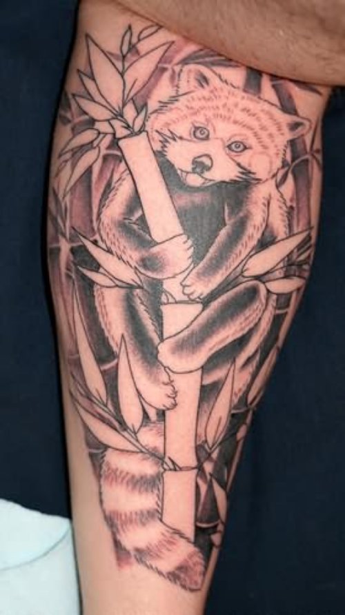 Panda Tattoos Design On Arm