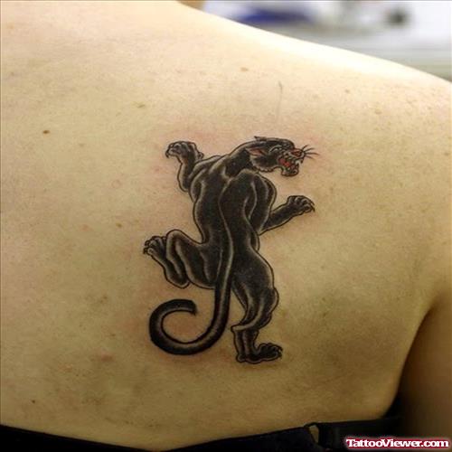 Panther Tattoo On Right Back Shoulder