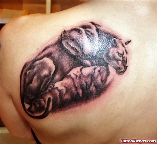 Grey Ink Panther Tattoo On Left Back Shoulder