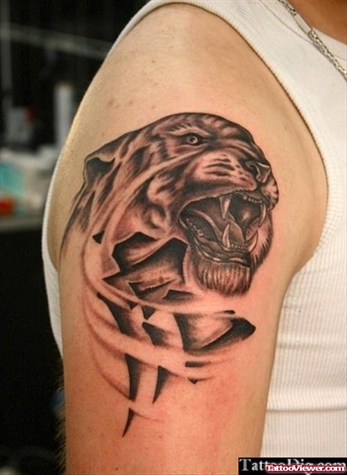 Grey Ink Panther Head Tattoo On Right Shoulder