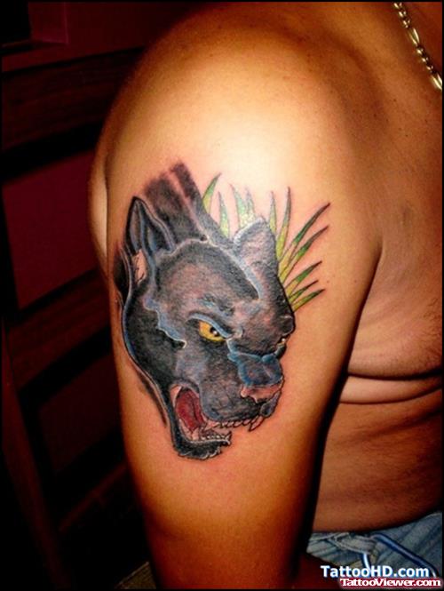 Panther Head Tattoo On Right Shoulder