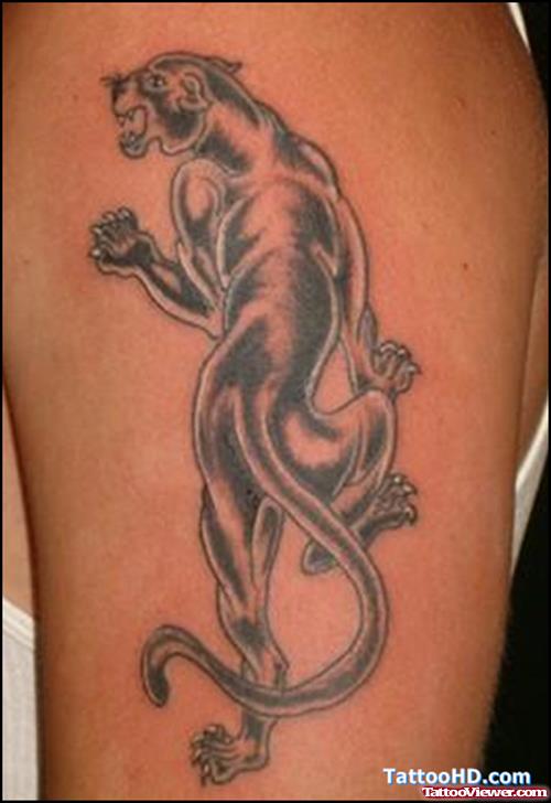 Amazing Grey Ink Panther Tattoo On Left Half Sleeve