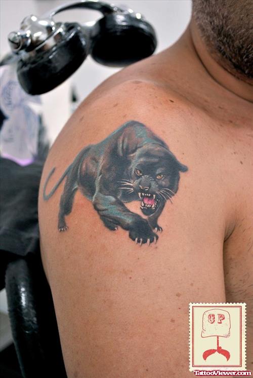 Attractive Panther Tattoo On Man Right Shoulder
