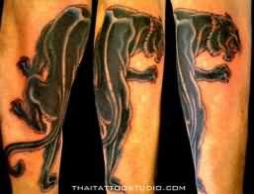 Traditional Black Panther Tattoo